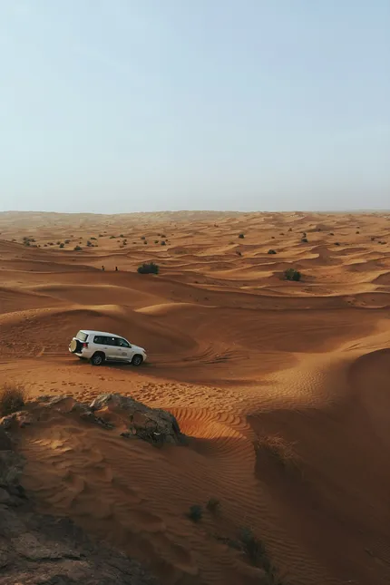 desert safari