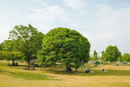 yeouido