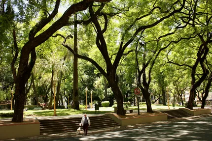 bosques de palermo